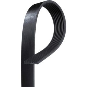 Gates K081265 Serpentine Belt, Micro V