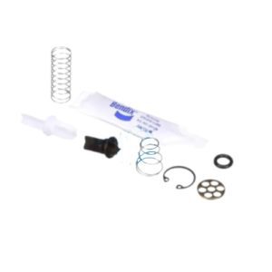 Bendix 109494 Valve Repair Kit, AS-IP (Genuine)
