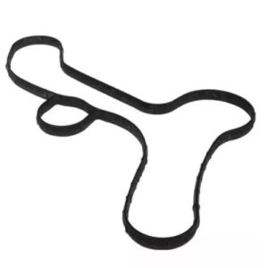 Ford BR3Z-8507-L Gasket, Water Pump (Genuine)