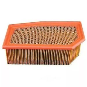 Carquest 88807 Air Filter Panel