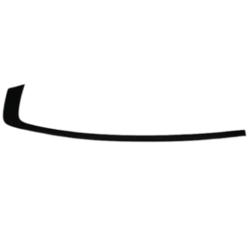Mopar 57010507AN Opening Molding, Day Light, Left (Genuine)