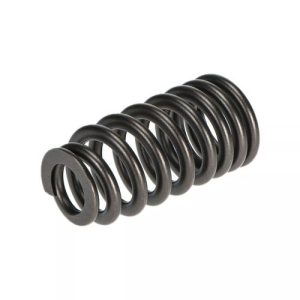 Mopar 05184060AN Valve Spring  (Genuine)