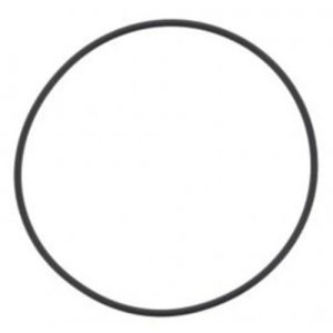 Cummins 3679934 O-Ring Seal (Genuine)