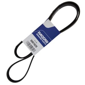 PACCAR 6061620 Poly V-Belt, 6 Rib (Genuine)