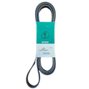 International 7503463C1 Fan Belt, Accessory Drive (Genuine)