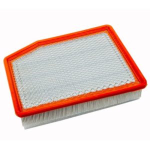 ACDelco 84121219 Air Filter Element, Gold Engine