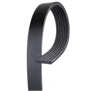 Ford AE8Q-6C301-AA Serpentine Belt (Genuine)