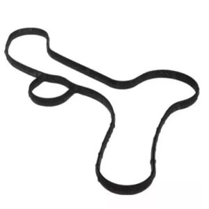 Ford BR3Z-8507-L Gasket, Water Pump (Genuine)