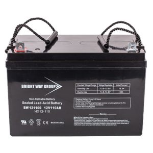 Bright Way 121100-DT Battery 110Ah 12V AGM Sealed Lead Acid