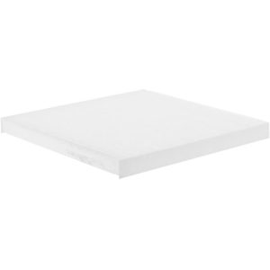 Luber-Finer CAF24003 Air Filter, Cabin Filter