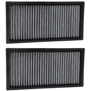 Luber-Finer CAF24015XL Cabin Air Filter (2 Pack)