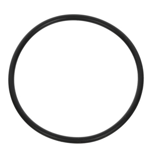 Ford E6TZ7D040A Seal Servo Cover (Genuine)