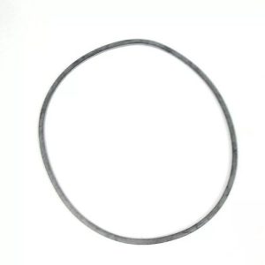 Ford F5TZ-7A248-A Seal Ring (Genuine)