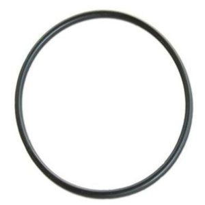Ford F81Z-9E436-AA Gasket, Water Pump (Genuine)