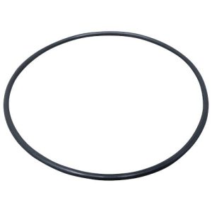 Wastebuilt HYF20017 O-Ring Seal, Filter, Gallon