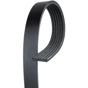 Gates K061020 Serpentine Belt, Micro V