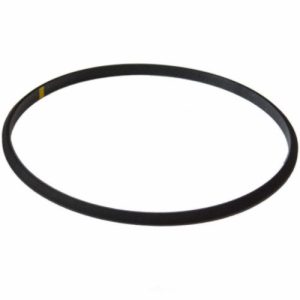 Motorcraft RG-602 Outle Gasket, Lower, Engine Coolant Thermostat(Genuine)