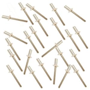 Ford W709653-S301 Rivet, Side Reinforced (24 Pack) (Genuine)