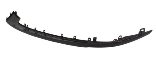 Ford JL1Z-8419-APTM Bumper Trim Protector (Genuine)