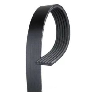 GM 15170173 Serpentine Belt, Fan, A/C Compressor & Generator (Genuine)