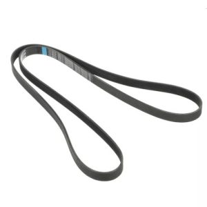 GM 15173242 Serpentine Belt, Fan, A/C Compressor & Generator (Genuine)