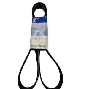 GM 15625166 Serpentine Belt, Fan & Generator (Genuine)