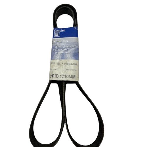 GM 15625166 Serpentine Belt, Fan & Generator (Genuine)