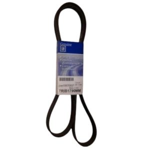 GM 15670937 Serpentine Belt, Fan & Generator (Genuine)