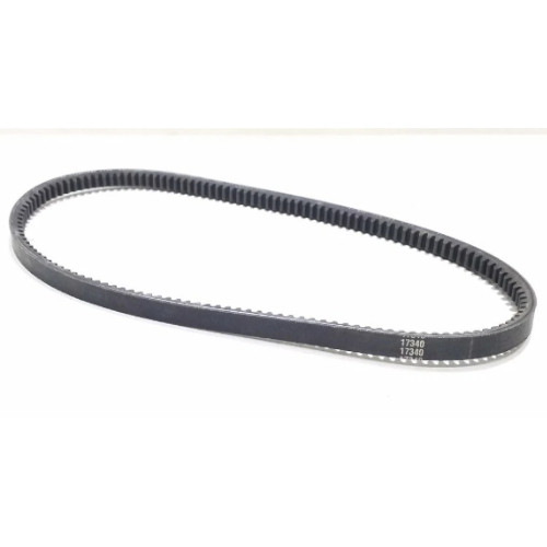 Fresh Start 17340 Belt, Top Cord, Cogged