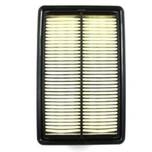 Honda 177220-PZA-000 Filter, Cleaner Element Assembly (Genuine)