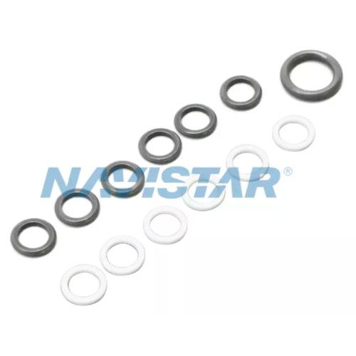 International 1842626C96 Seal Kit, Oil Rail (Genuine)