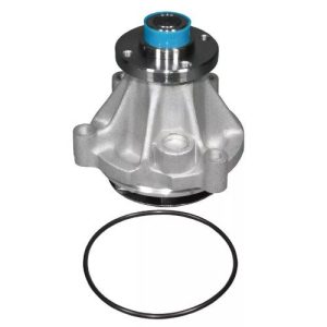 ACDelco 252-841 Pump, Water (GM# 19113736)