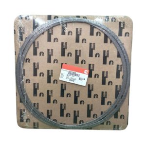 Cummins 2871453 Gasket AFM Device (2 Pack) (Genuine)
