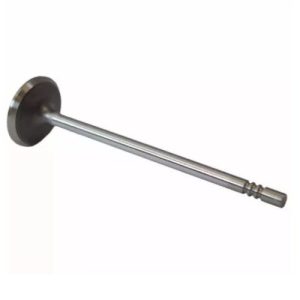 Ford 3L3Z6507BA Intake Valve (Genuine)