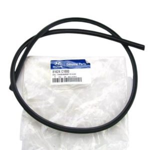 Hyundai 81624C1000 Seal Panorama Roof, FR Glass (Genuine) OEM