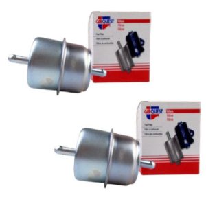 Carquest 86031 Fuel Filter, Inline (2 Pack)