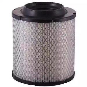 Carquest 87384 Air Filter (Genuine)