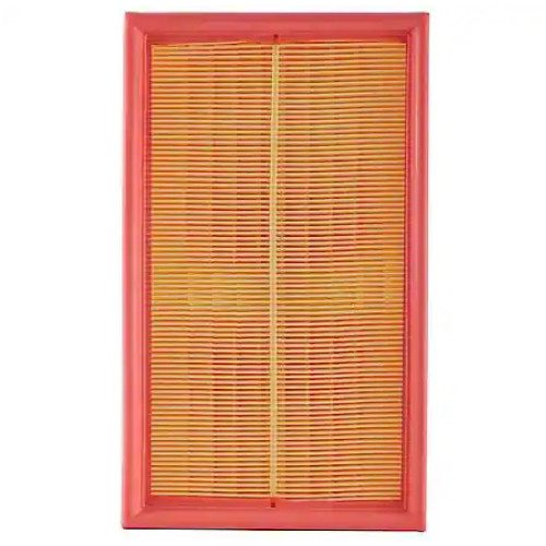 Carquest 87462 Air Filter, Engine (Genuine)