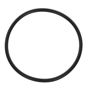 Ford E6TZ7D040A Seal Servo Cover (Genuine)