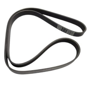 Fleetrite FLTBT530K6 Belt (6PK1345) New