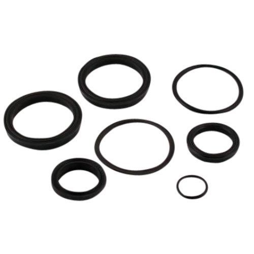 Pioneer HR4719A Seal Rebuild Kit, 2.5"x 16in Cylinder, Rack & Pinion