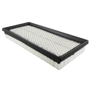 Baldwin PA2164 Air Panel Filter, Engine (Genuine)