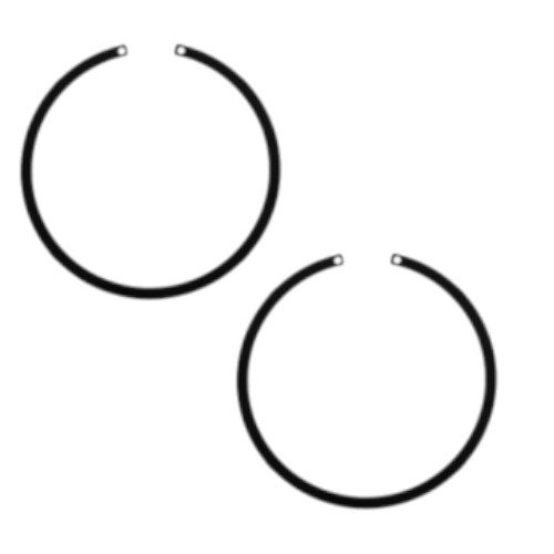 ACDelco TR9 Lock Ring Fuel Systerm Retainer (Genuine) (2 Pack)