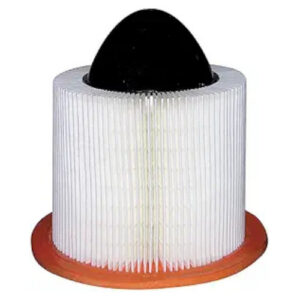 Hastings AF1014 Air Filter (Replaces Baldwin PA4088, Fram CA8142, DA8142, Ford F7CZ-9601-A)