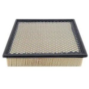 Hastings AF1032 Air Filter (Replaces Baldwin PA2152, Fleetguard AF4619, Wix 46134)