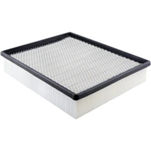 Hastings AF1052 Air Filter (Replaces Baldwin PA4113, Fram DA8756, Wix 42487)