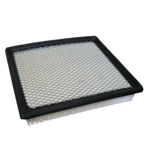 Hastings AF1103 Air Filter (Replaces Baldwin PA4132, Donaldson P607253, Wix 42389)