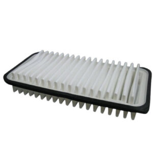 Hastings AF1161 Air Filter (Replaces Baldwin PA4180, Pronto PA-5463, Wix 46834)