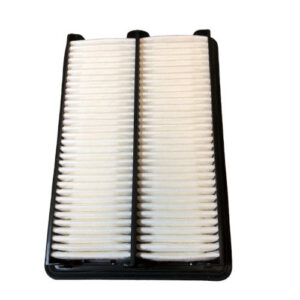 Hastings AF1166 Air Filter (Replaces Baldwin PA4381, Fram CA9565, Wix 49051)