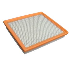 Hastings AF1338 Air Filter (Replaces Fram CA10154, Wix 49926, Luber-Finer AF7984)